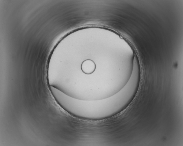 X0000114631288200912011016