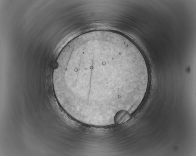 X0000114631289200912011016