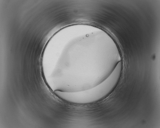 X0000114631291200912011016