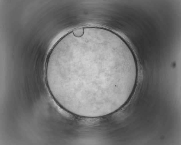 X0000114631294200912011016