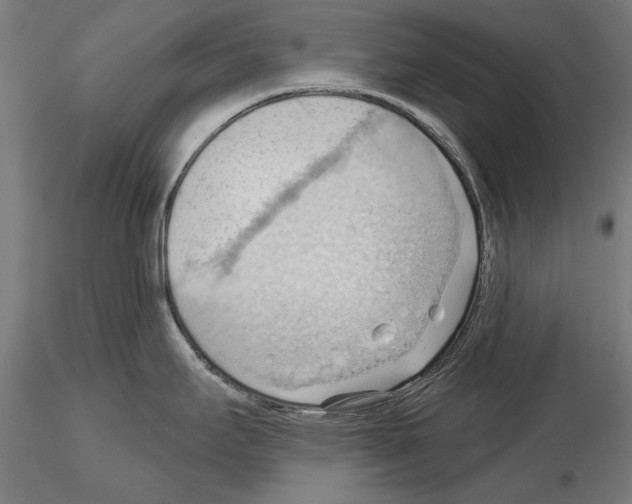 X0000114631295200912011016