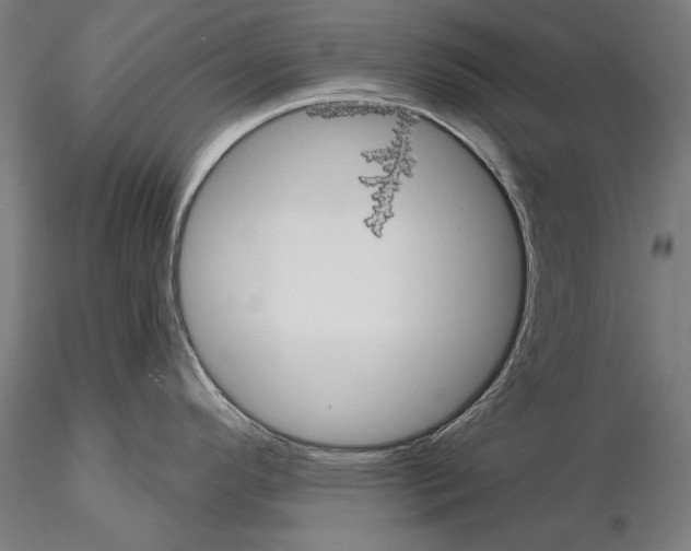 X0000114631296200912011016