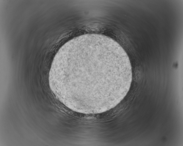 X0000114631297200912011015