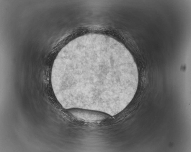 X0000114631301200912011015