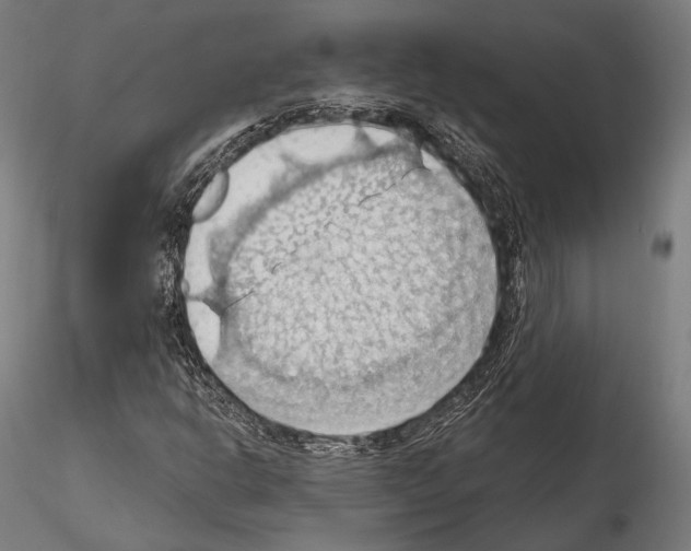 X0000114631302200912011015