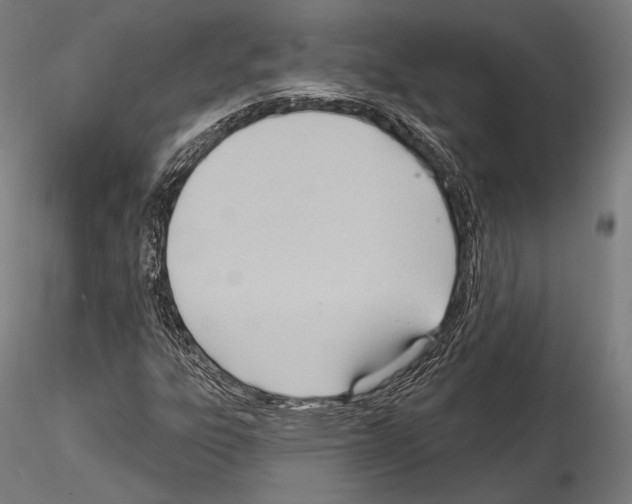 X0000114631303200912011015