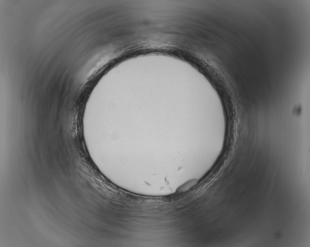 X0000114631306200912011015