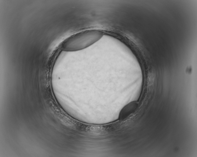 X0000114631310200912011015