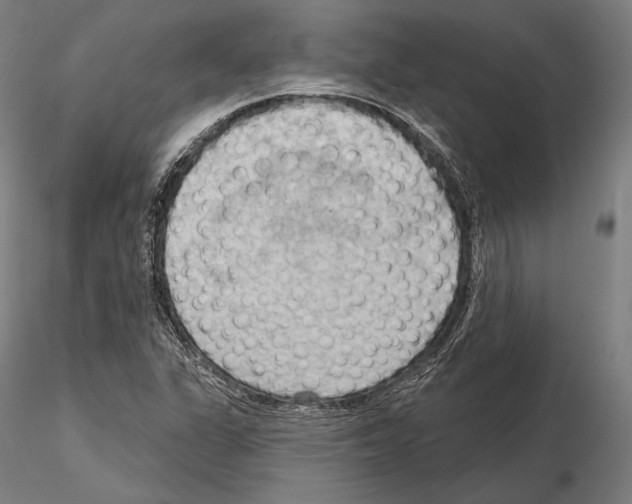 X0000114631311200912011015