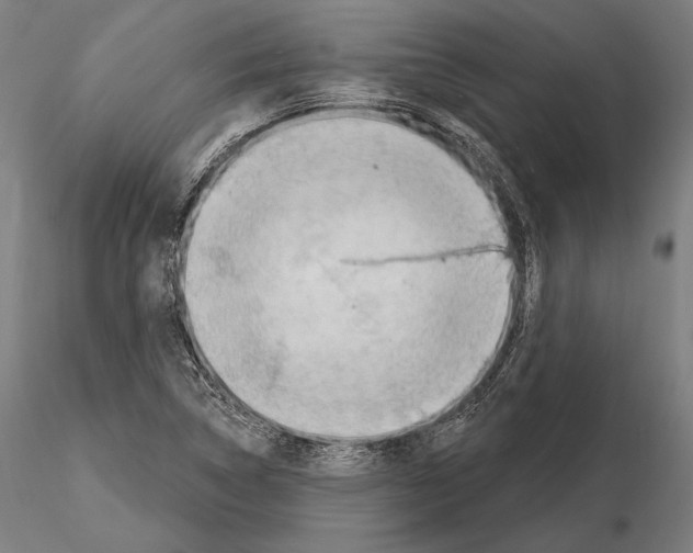 X0000114631314200912011015