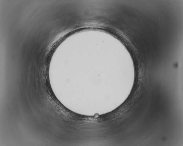 X0000114631315200912011015