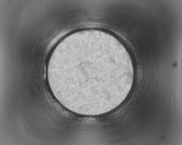 X0000114631317200912011016