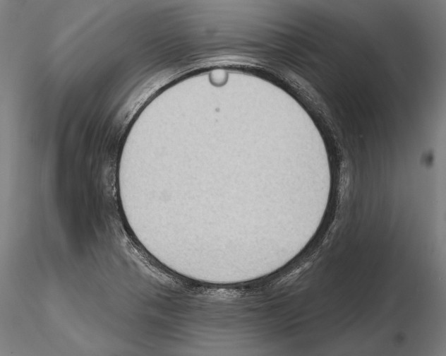 X0000114631321200912011016