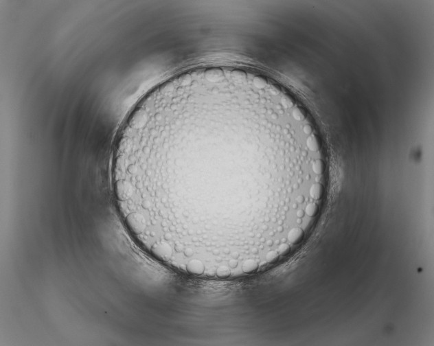 X0000114631322200912011016