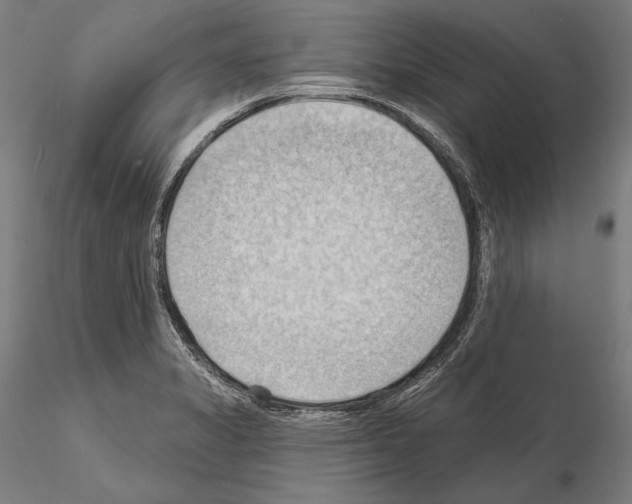 X0000114631325200912011016