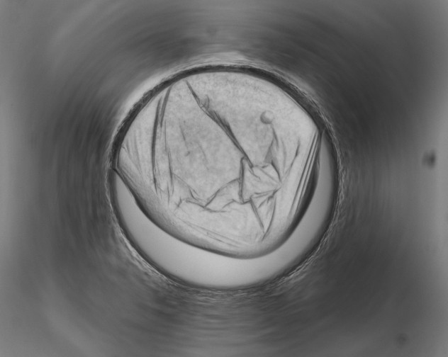 X0000114631326200912011016