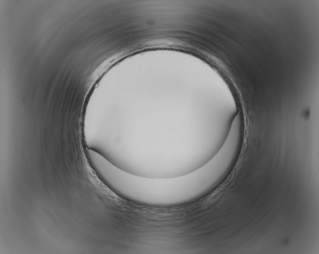 X0000114631330200912011016