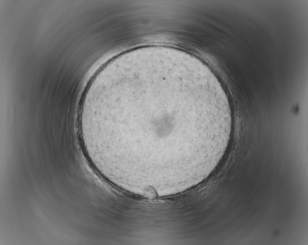 X0000114631331200912011016