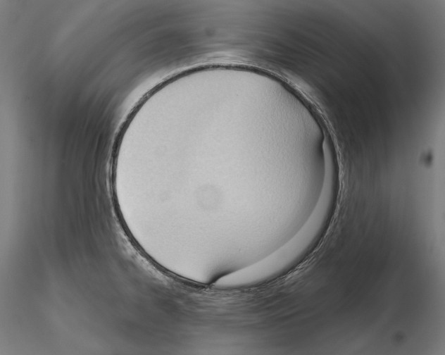 X0000114631334200912011016