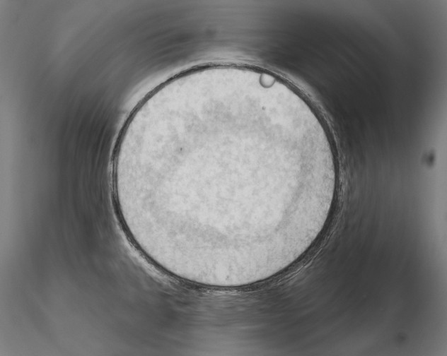 X0000114631335200912011016