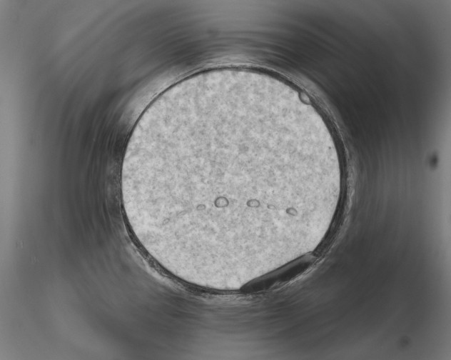 X0000114631337200912011016