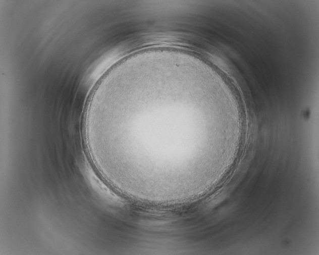 X0000114631338200912011016