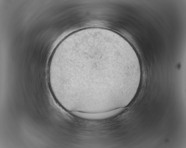 X0000114631339200912011016