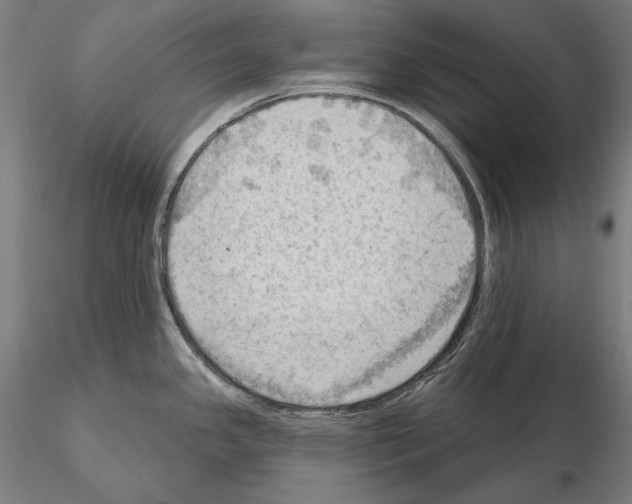 X0000114631341200912011016