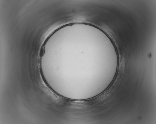 X0000114631342200912011016