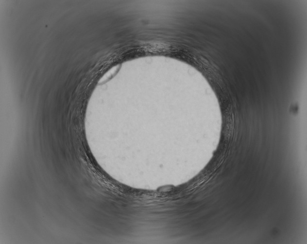 X0000114631345200912011015