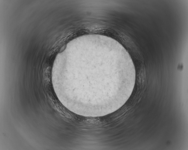 X0000114631346200912011015