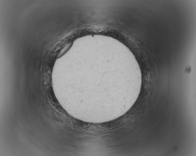 X0000114631349200912011015