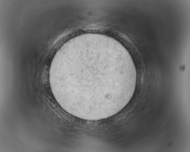 X0000114631350200912011015