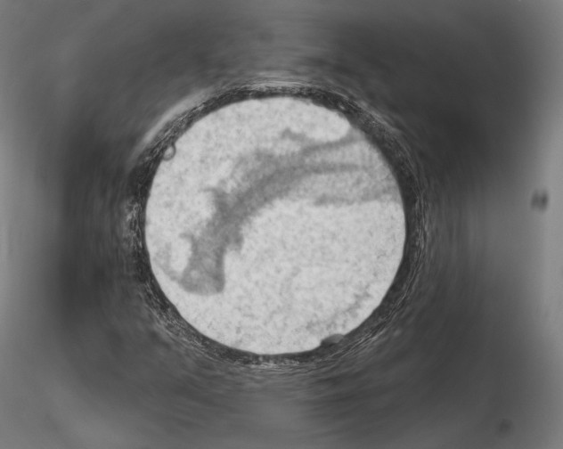 X0000114631351200912011015