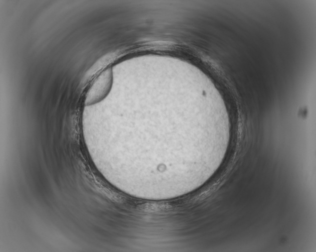 X0000114631354200912011015