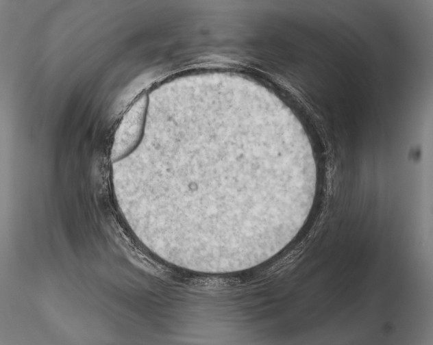 X0000114631355200912011015