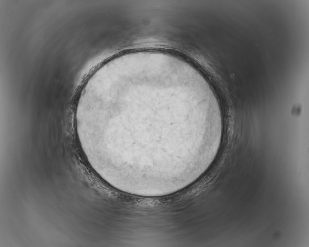 X0000114631358200912011015