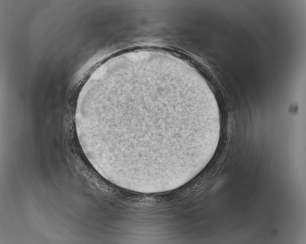 X0000114631359200912011015