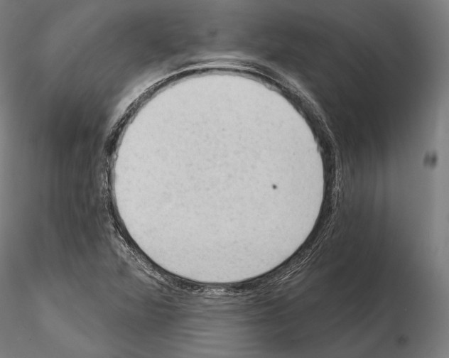 X0000114631360200912011015