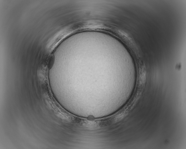 X0000114631361200912011015