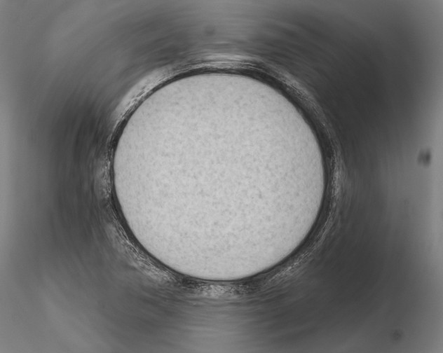 X0000114631362200912011015