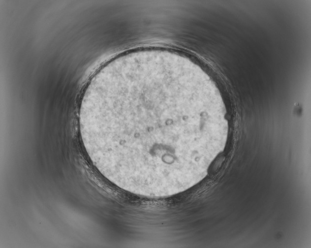 X0000114631363200912011015