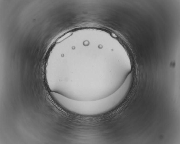 X0000114631364200912011015