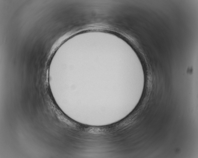 X0000114631366200912011015