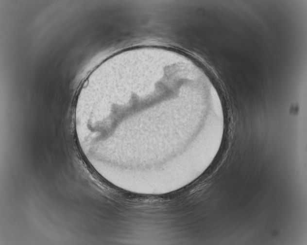 X0000114631367200912011015