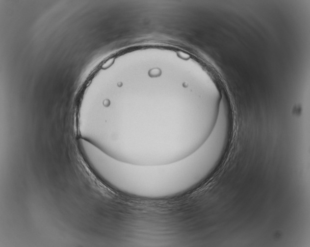 X0000114631368200912011015