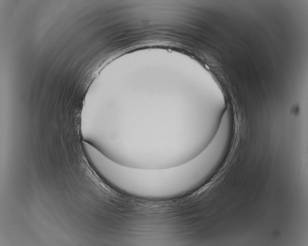 X0000114631369200912011015