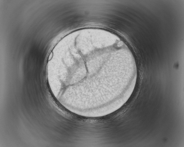 X0000114631371200912011015