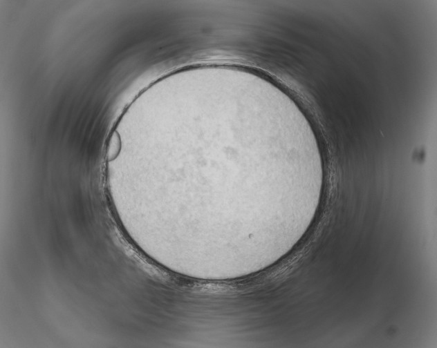 X0000114631374200912011015