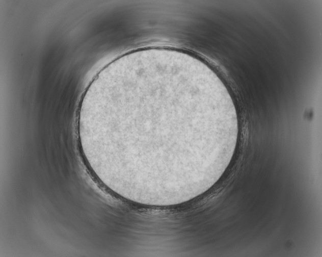 X0000114631375200912011015